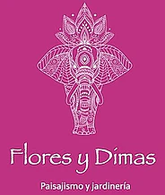 FLORES Y DIMAS logo